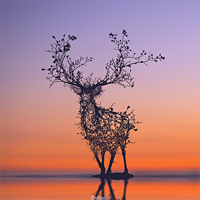 منتخبی از فتومونتاژ های آدیتو آریانتو  Aditya Aryanto