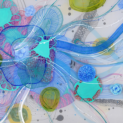 فراخوان مسابقه عکس و ویدئو bio art