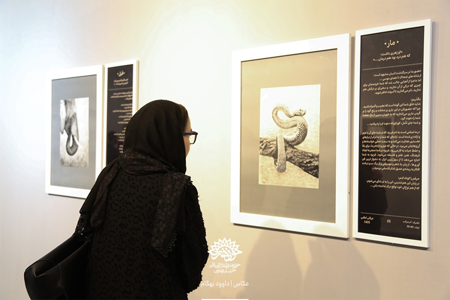 نگارخانه اشراق میزبان نمایشگاه «سیاه وحش» +گزارش تصویری