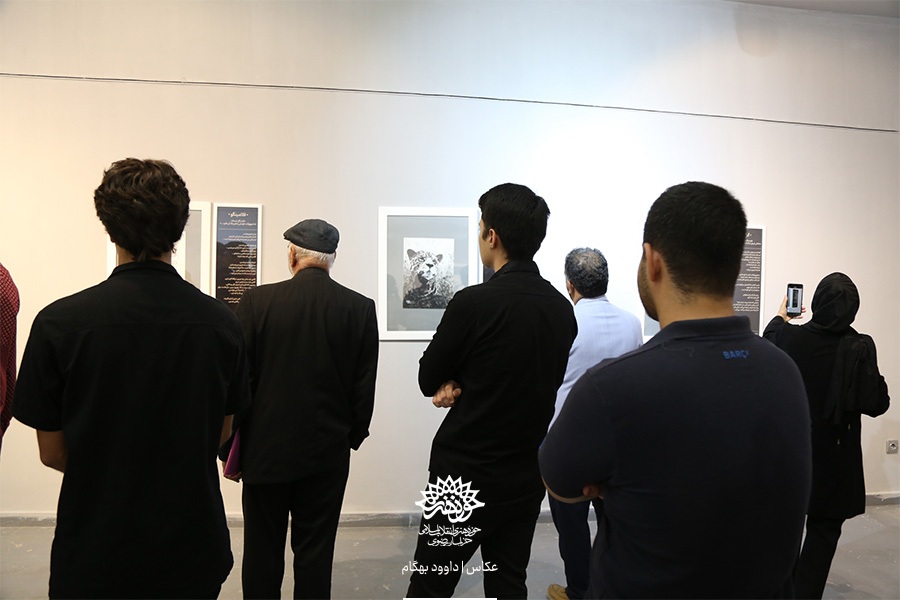 نگارخانه اشراق میزبان نمایشگاه «سیاه وحش» +گزارش تصویری