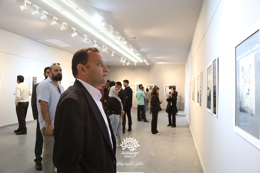 نگارخانه اشراق میزبان نمایشگاه «سیاه وحش» +گزارش تصویری